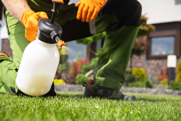 Best Commercial Pest Control Services  in Laguna Beach, FL
