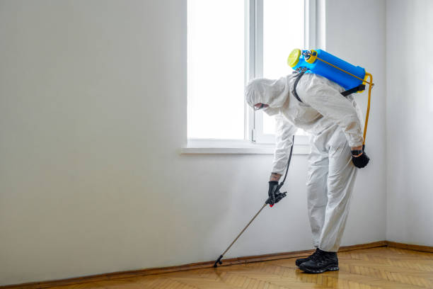 Best Local Pest Control Services  in Laguna Beach, FL