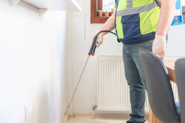 Best Pest Control Near Me  in Laguna Beach, FL