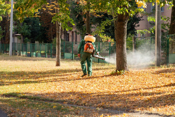 Best Pest Removal Services  in Laguna Beach, FL