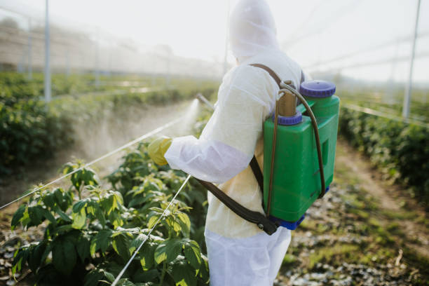 Best Affordable Pest Control Services  in Laguna Beach, FL